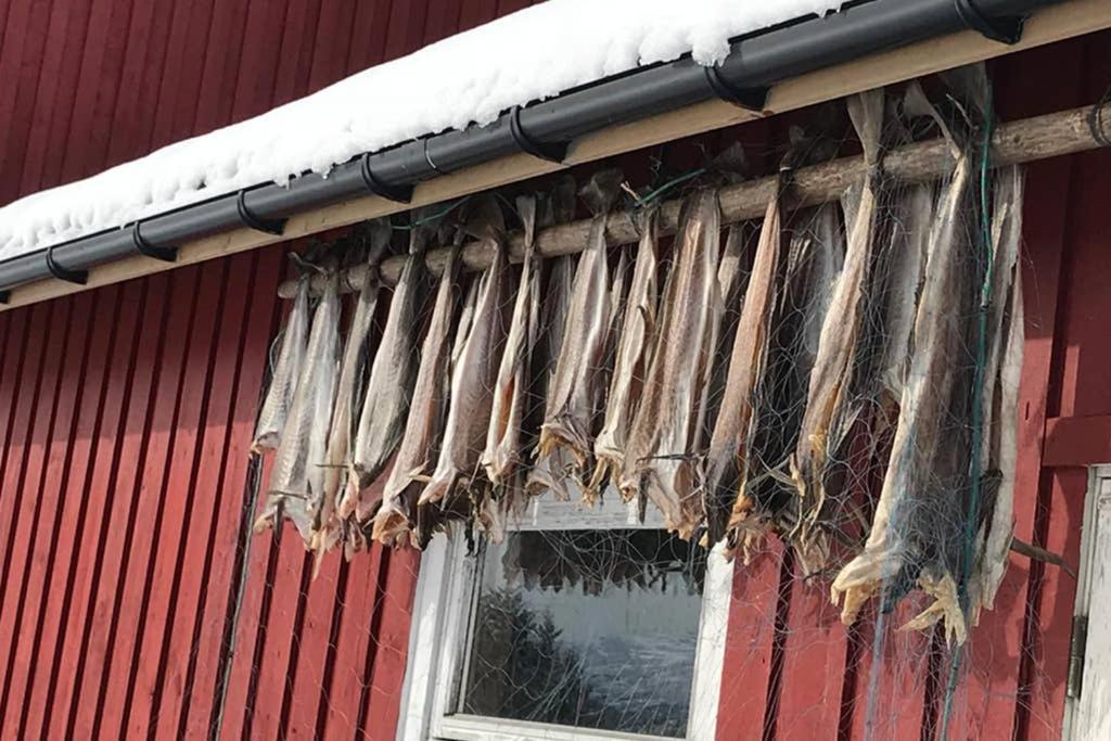 Nordlandshus ved Lofotr Villa Bostad Eksteriør bilde